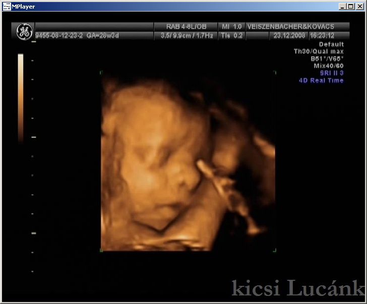 luca03