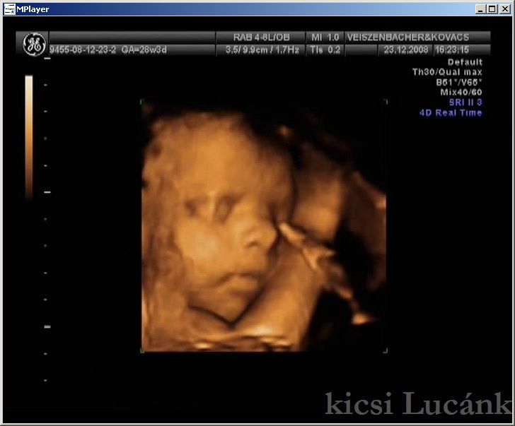 luca04