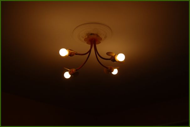 DSC_8007