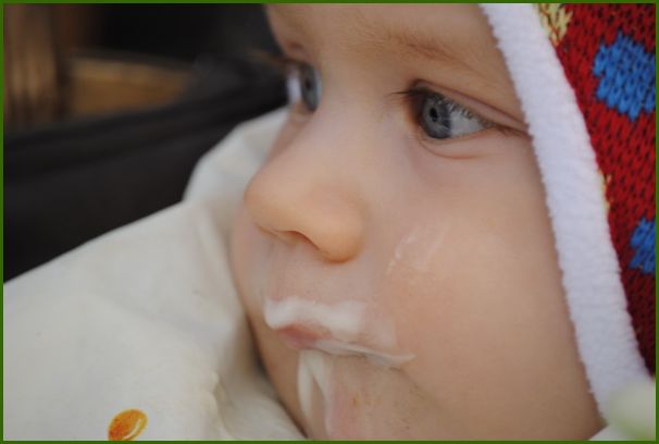 _DSC2620