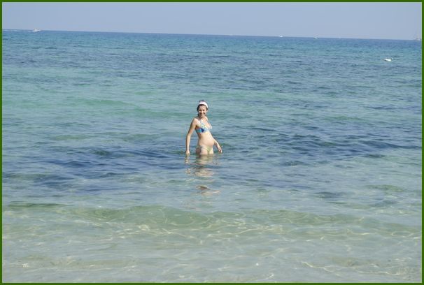 _DSC9527
