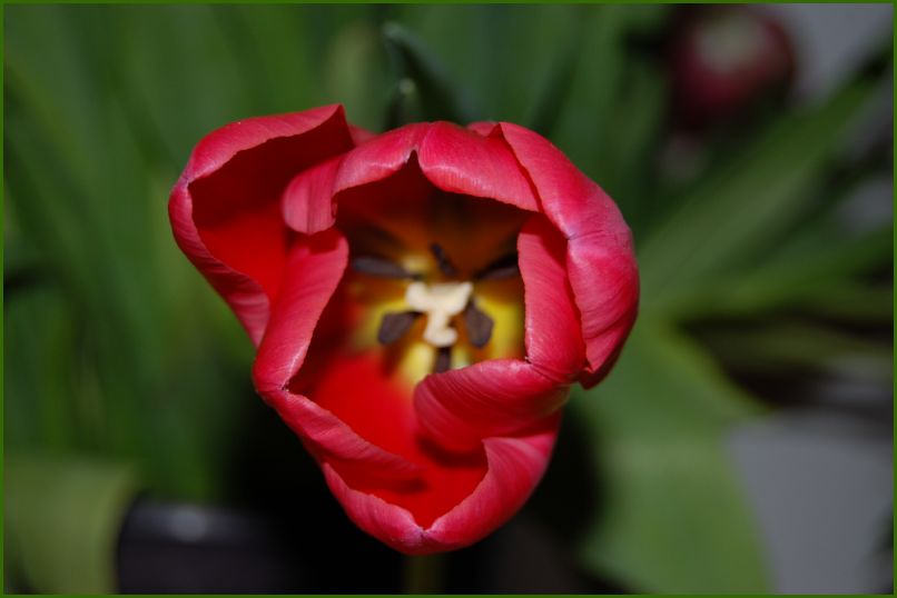 furdetstb_21
