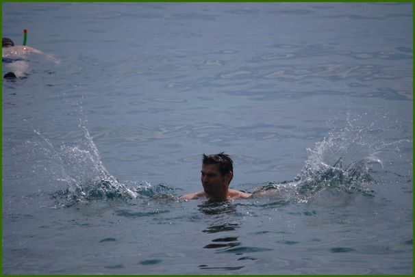 DSC_0547