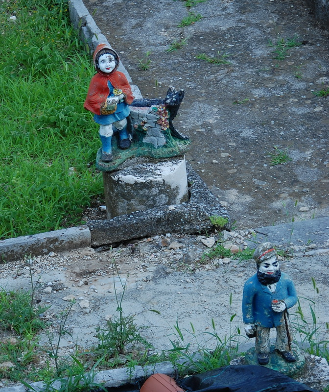 DSC_1519