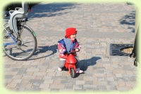 Click to enlarge