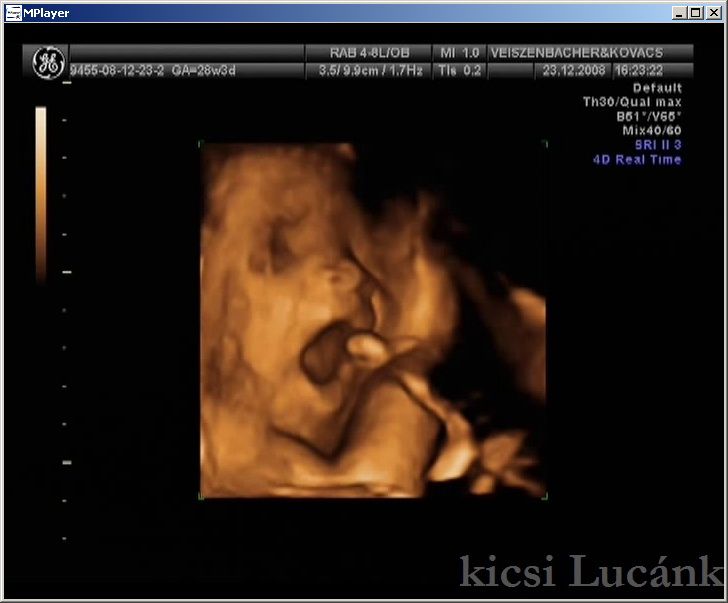 luca05