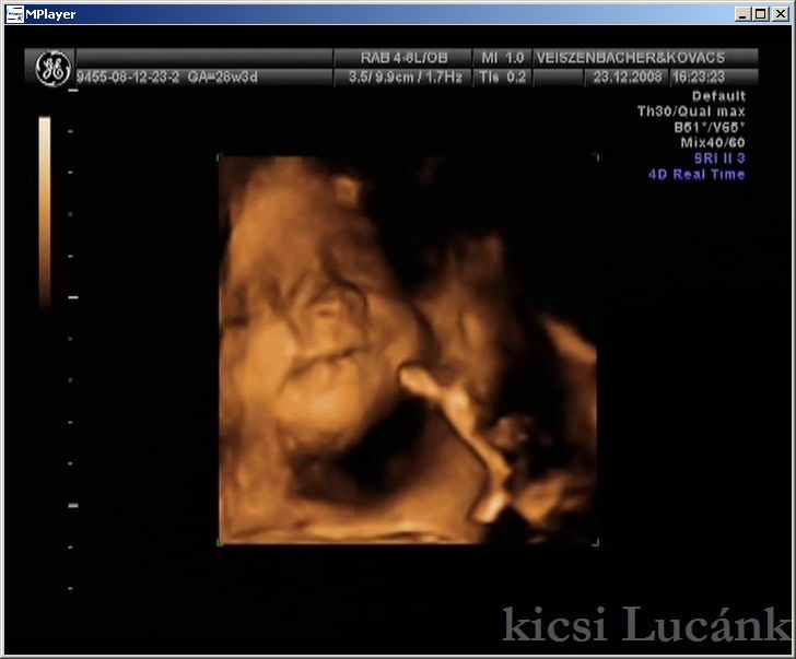 luca13