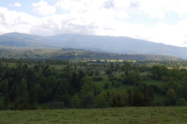 DSC_7290