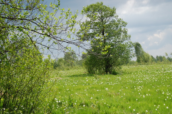 DSC_7801