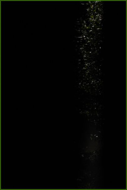 117_DSC_2904