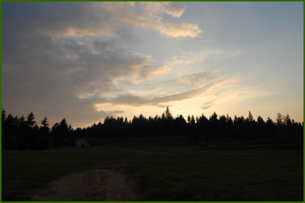 201_DSC_3393