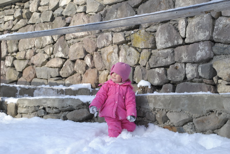 _DSC8224