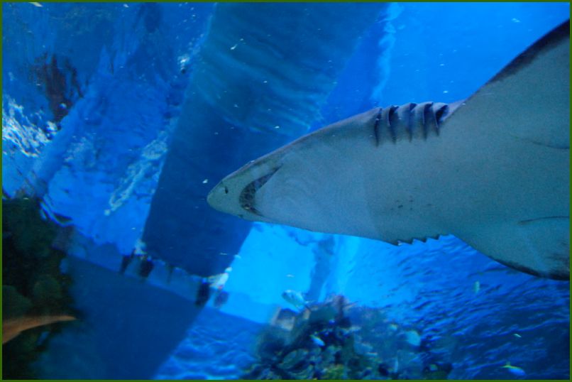DSC_2146