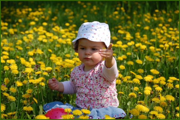 DSC_4984